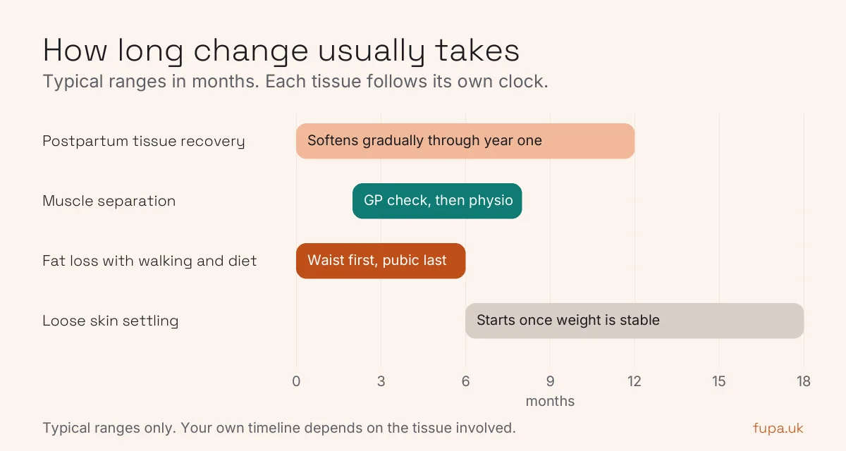 Chart of typical timelines in months for postpartum recovery, muscle separation, fat loss and loose skin settling in a FUPA