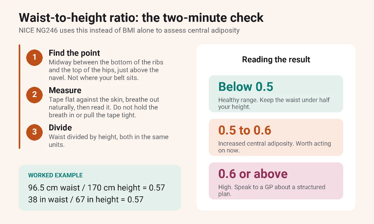 Three-step guide to measuring waist-to-height ratio, with worked examples and what a result below 0.5, 0.5 to 0.6 or above 0.6 means