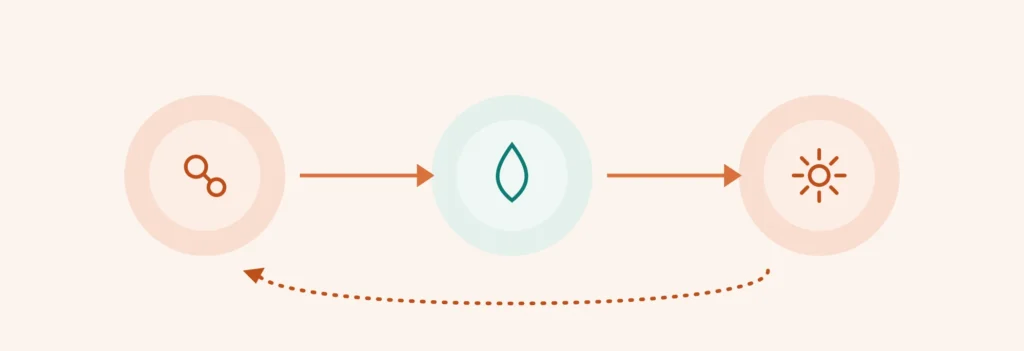 Icons illustrating the testosterone-fat cycle in men: low testosterone leads to lower-body fat gain, which increases aromatase activity, further lowering testosterone