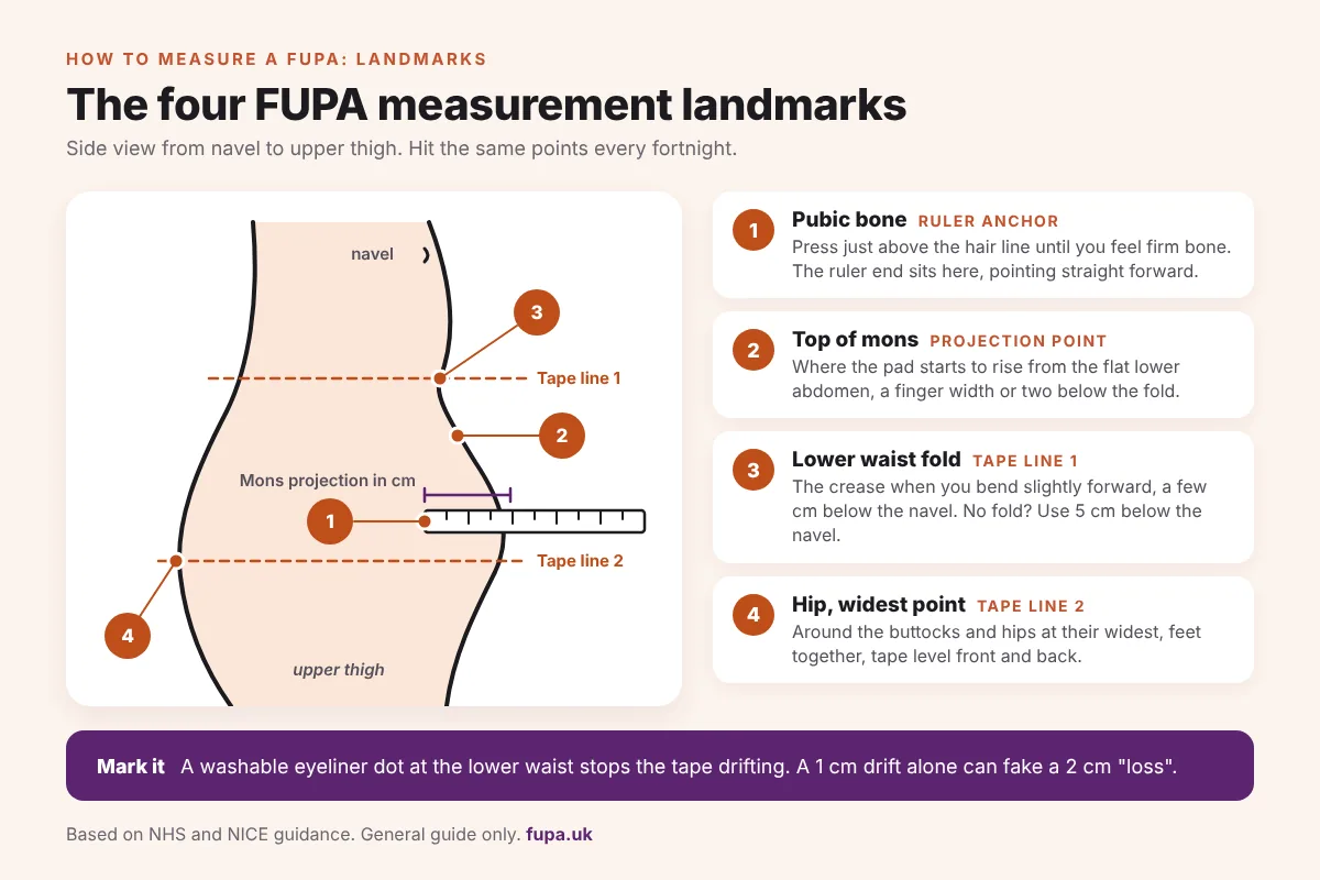 Side view diagram of the lower torso showing four FUPA measurement landmarks and where each tape or ruler sits