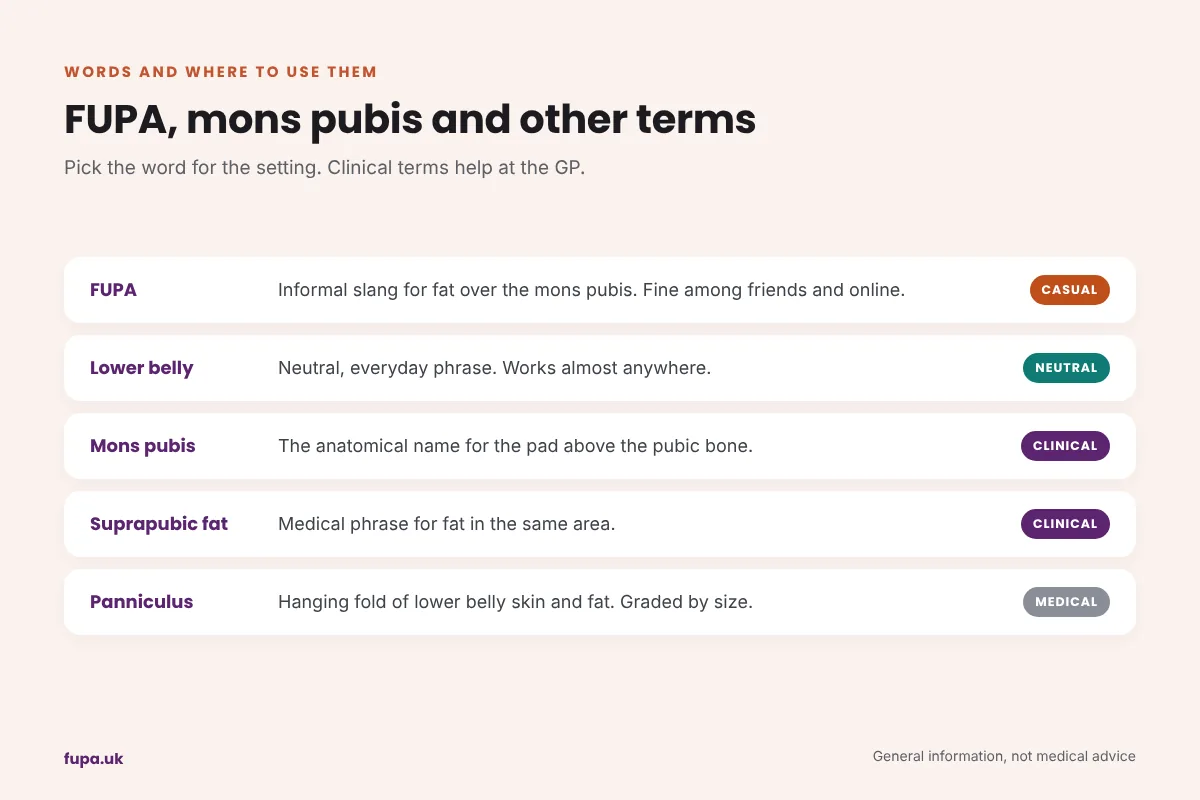 Table of terms for the lower belly, from FUPA and lower belly to mons pubis, suprapubic fat and panniculus, with the setting each suits