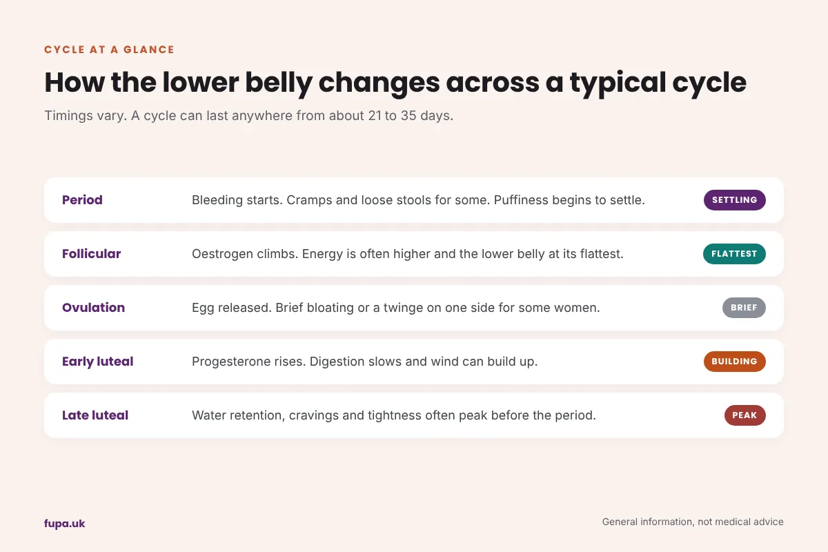 Chart of how the lower belly tends to change across the period, follicular phase, ovulation and the early and late luteal phase