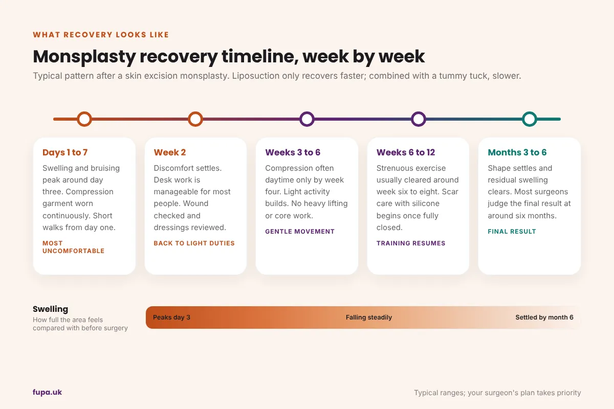 Monsplasty recovery timeline diagram showing five stages from days one to seven through to months three to six, with swelling peaking on day three and settling by month six