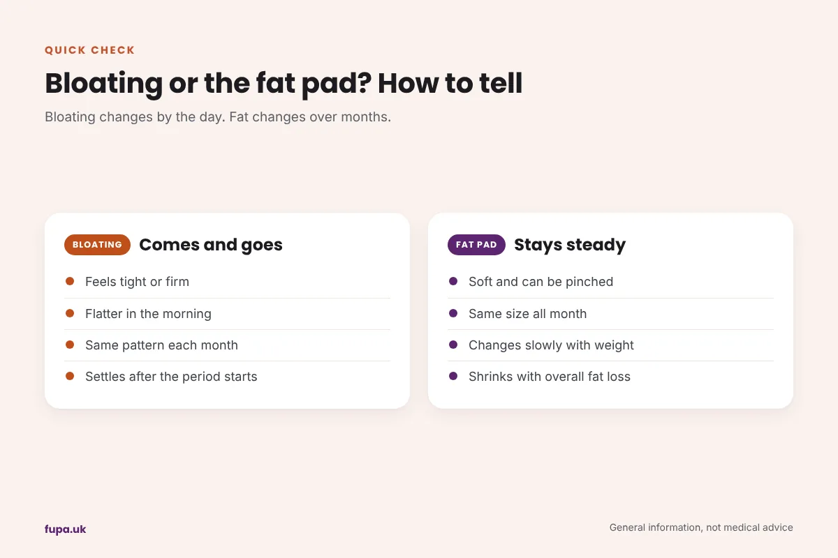 Two column comparison of cyclical period bloating, which comes and goes, and the FUPA fat pad, which stays steady across the month